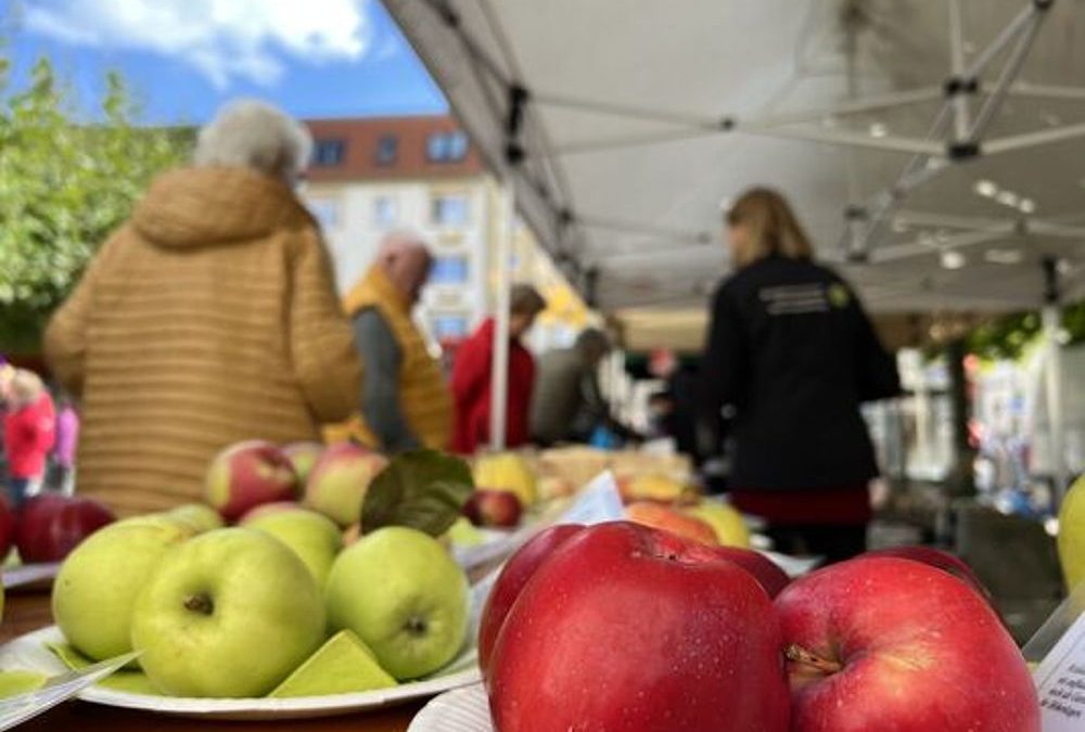 Apfelmarkt – Apfelzauber in Wittenberge