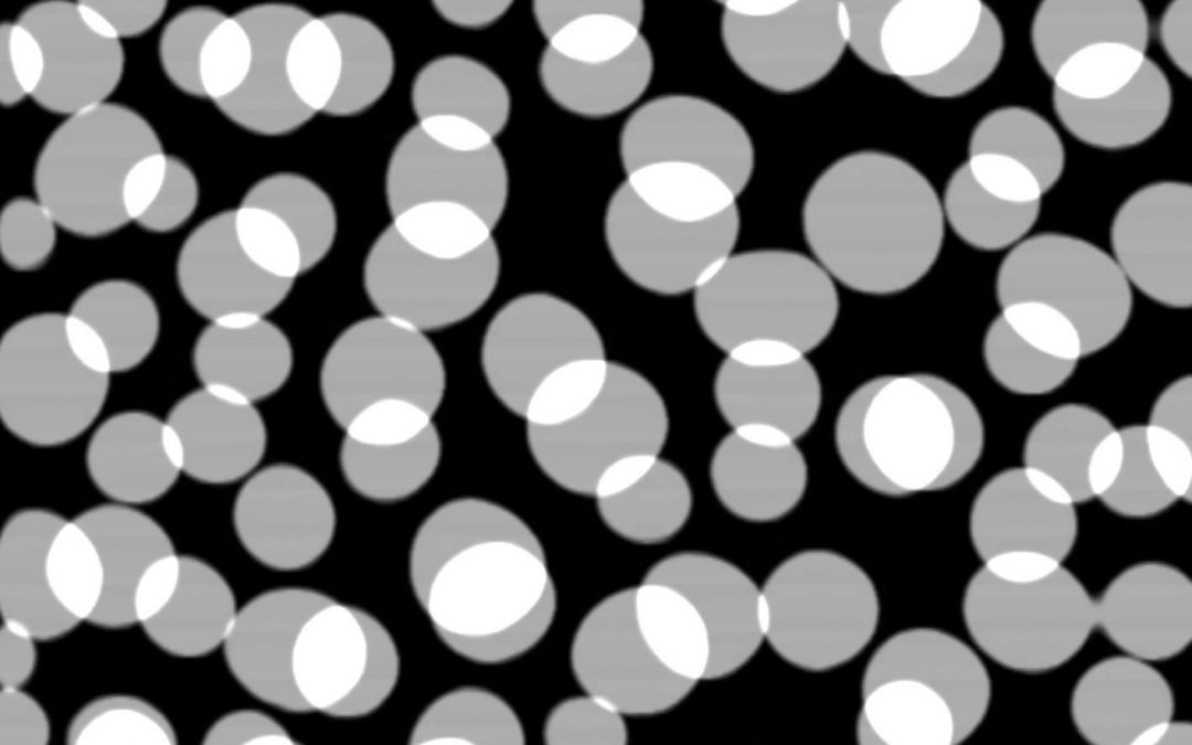 Workshop: Die Kunst des Überschreitens (II)