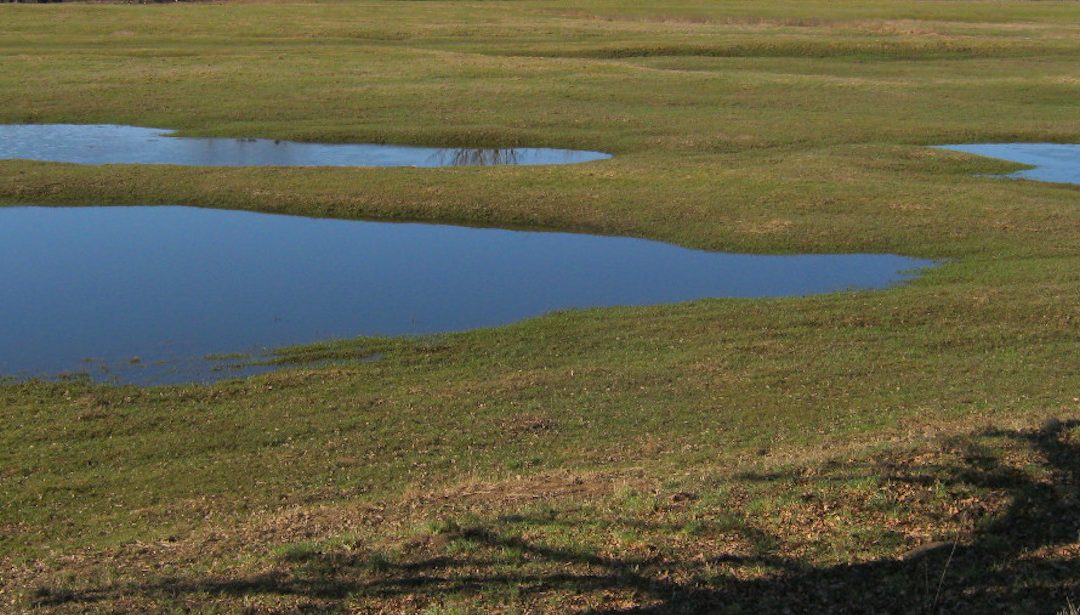 wenn`s brennt – handlungsfähig!