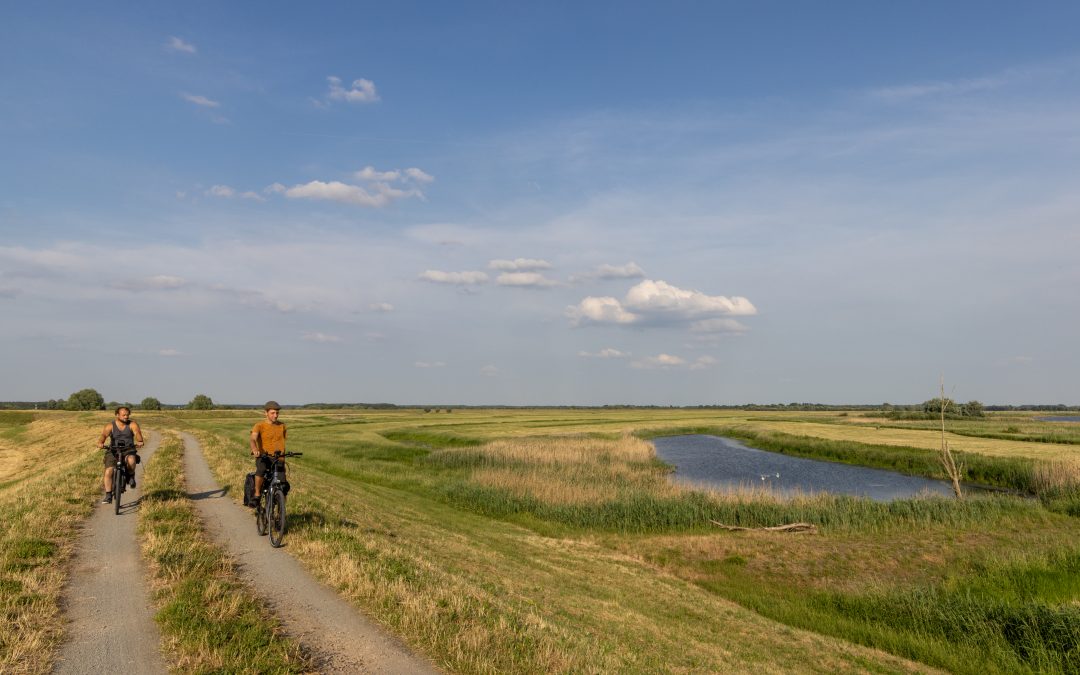 Klimaschutz – mit Auwald natürlich!