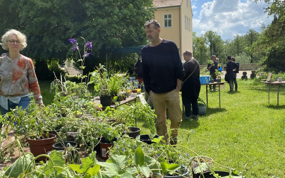Pflanzentauschbörse
