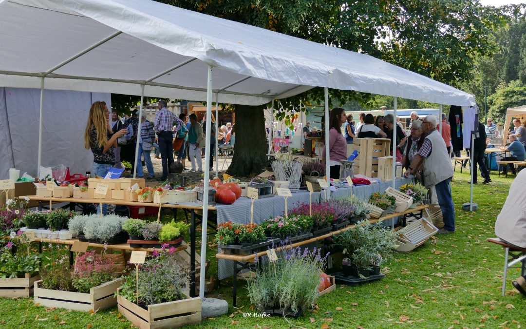 Regionalmarkt zum Tag des offenen Denkmals und offene Gärten in der Prignitz
