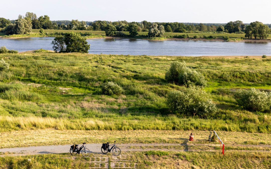 Klimaschutz – mit Auwald natürlich!