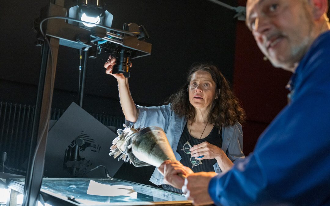 24FRAMES / SEC – ein Kino, dass live gespielt wird